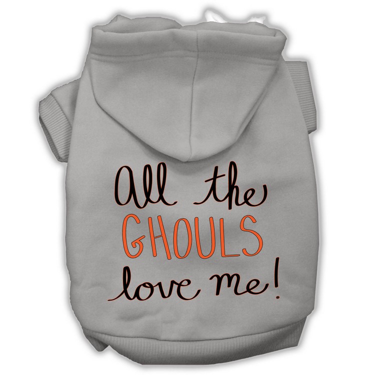 All the Ghouls Screenprint Dog Hoodie Grey XS